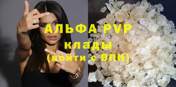 ECSTASY Яровое