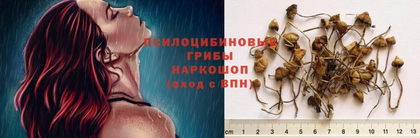 меф Каменск-Шахтинский