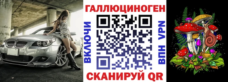 Псилоцибиновые грибы Psilocybe  Купить где  Кинешма 
